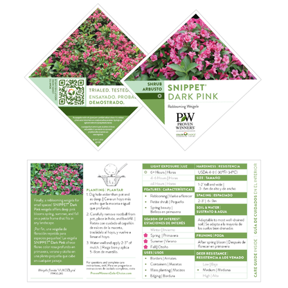 Snippet® Dark Pink Weigela (florida)