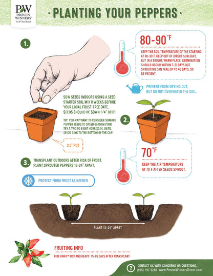 Seeds Fire Away® 'Hot and Heavy' Hot Pepper (Capsicum)