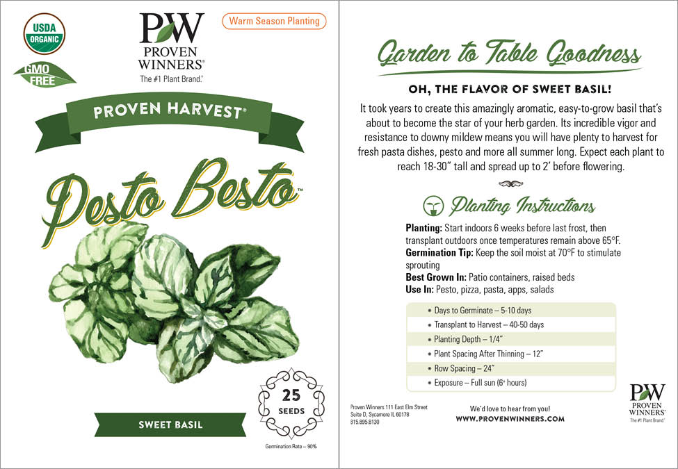 Seeds Pesto Besto™ Sweet Italian Basil (Ocimum)