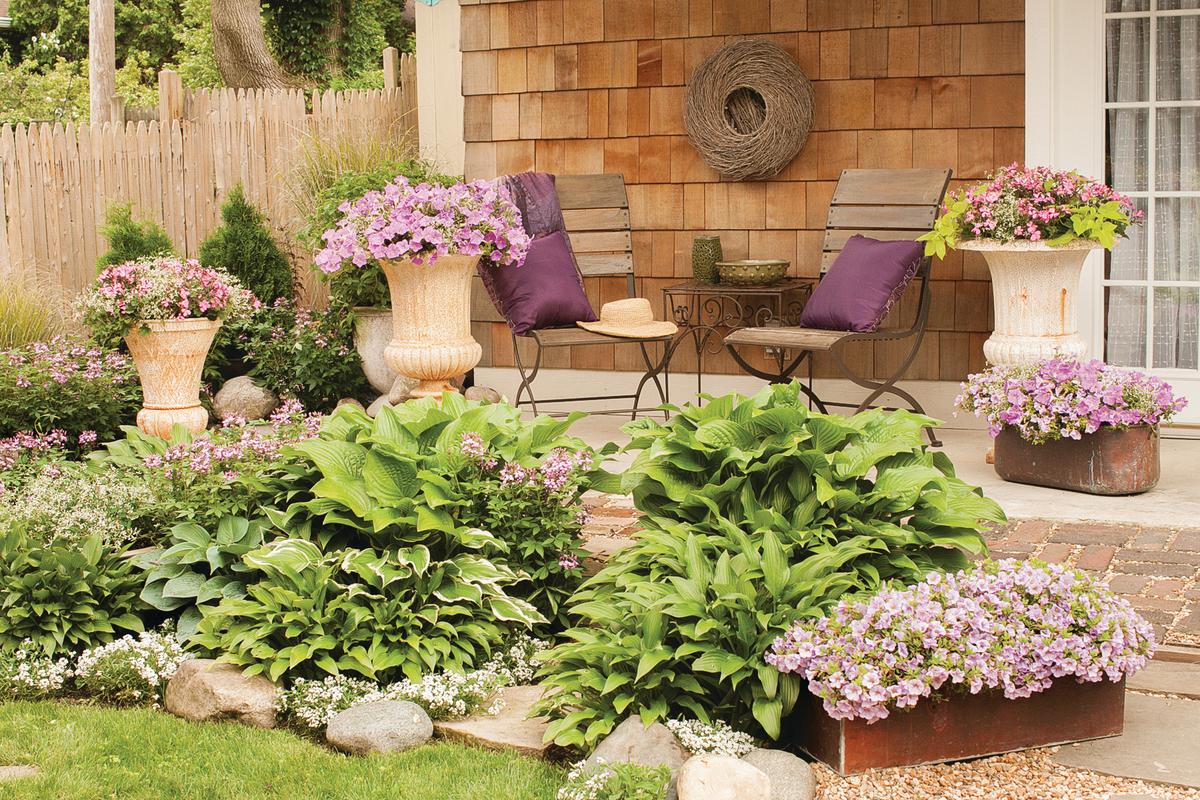 Superbells® Miss Lilac (Calibrachoa hybrid)